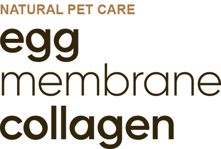 egg membrane collagen