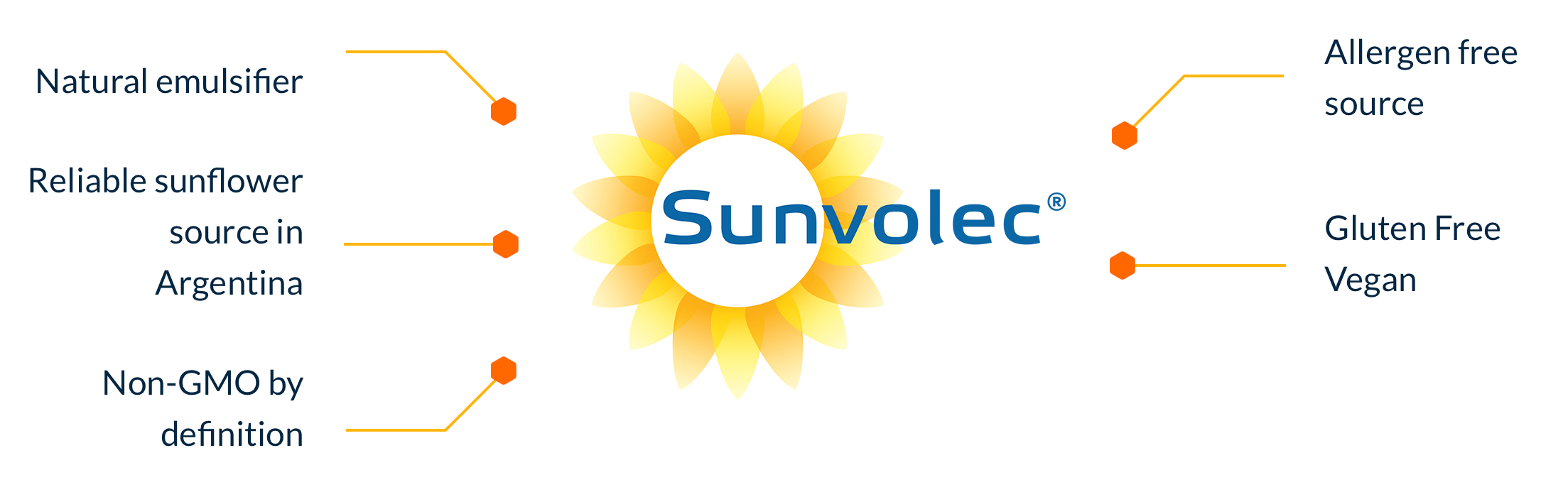 SunvolecGraphic