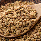 Fenugreek